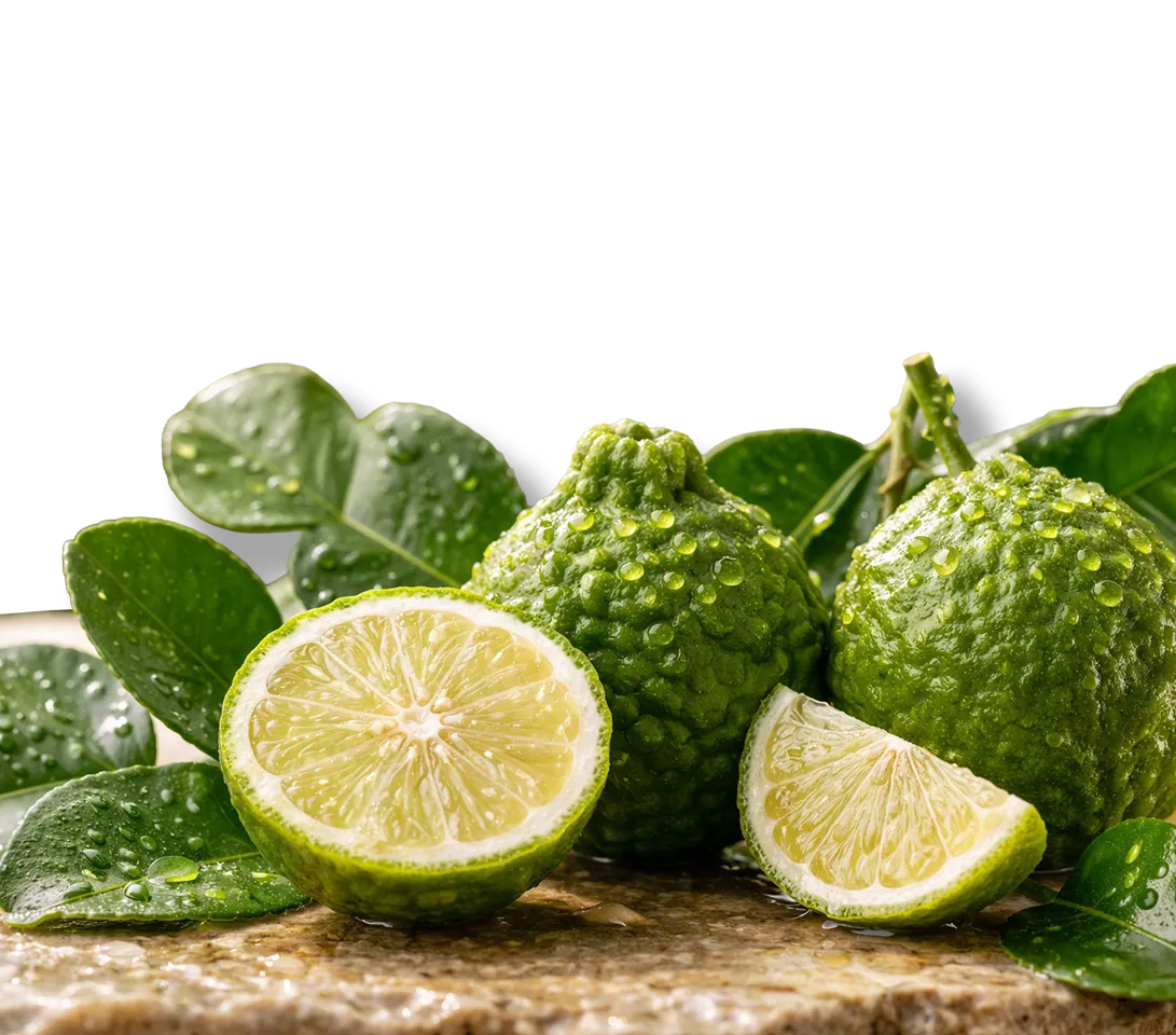 Frutti freschi di bergamotto Citrus Bergamia