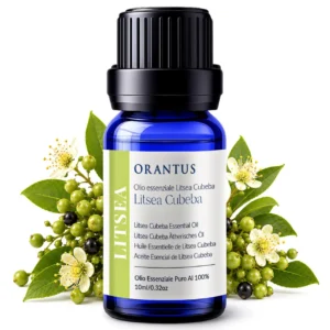 Olio essenziale di litsea cubeba Orantus con frutti e fiori di Litsea Cubeba