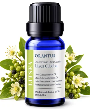 Olio essenziale di litsea cubeba Orantus con frutti e fiori di Litsea Cubeba