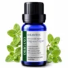 Olio essenziale di origano Orantus con foglie fresche di Origanum Vulgare