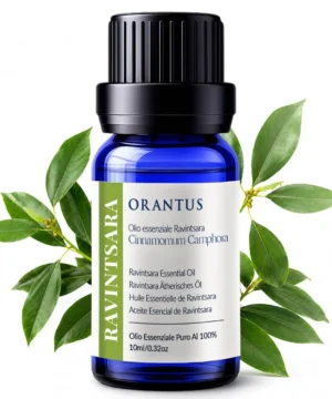 Olio essenziale di Ravintsara Orantus con foglie fresche di Cinnamomum Camphora