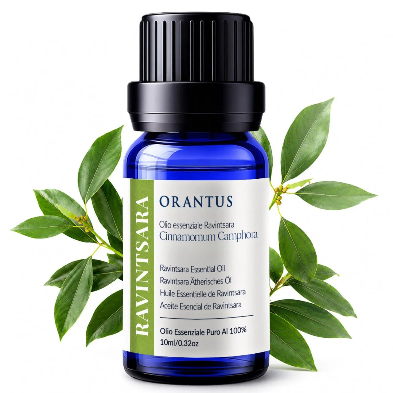 Olio essenziale di Ravintsara Orantus con foglie fresche di Cinnamomum Camphora