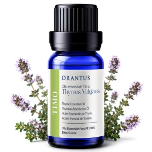 Olio essenziale di timo timolo Orantus con fiori e foglie di Thymus Vulgaris