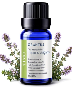 Olio essenziale di timo timolo Orantus con fiori e foglie di Thymus Vulgaris